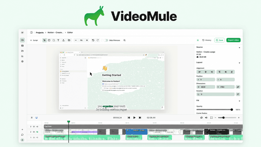 VideoMule