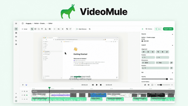 VideoMule