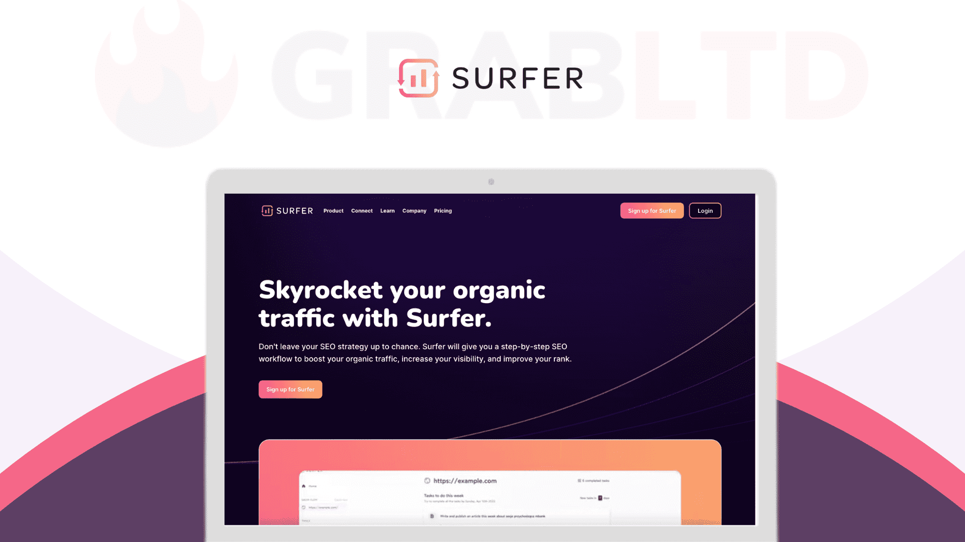 Surfer Seo